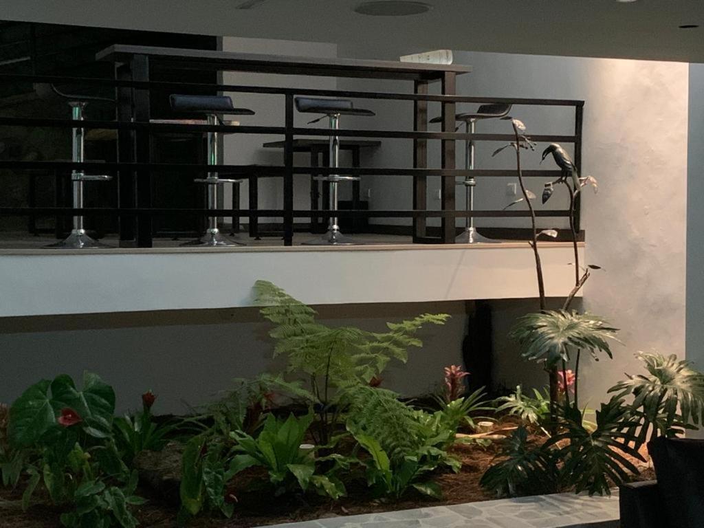 Apartahotel La Arboleda Hc Manizales Eksteriør billede